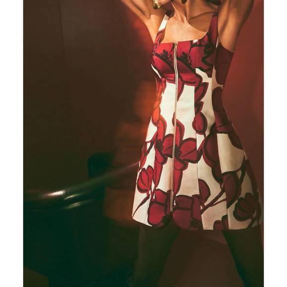 NEW ALEXIS claire short dress in rust petal - Picture 4 of 4